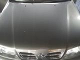 Капот Nissan Primera P11үшін95 000 тг. в Усть-Каменогорск – фото 3