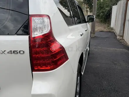 Lexus GX 460 2010 года за 18 700 000 тг. в Алматы – фото 10