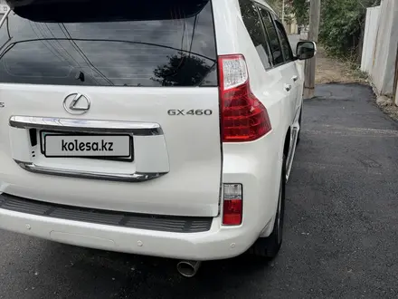 Lexus GX 460 2010 года за 18 700 000 тг. в Алматы – фото 9