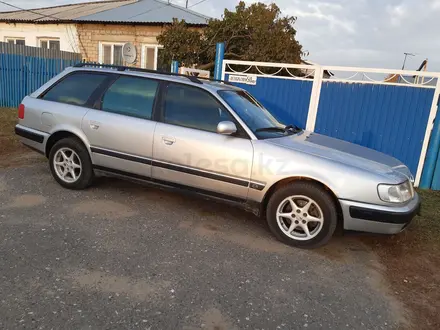 Audi 100 1994 года за 2 800 000 тг. в Павлодар