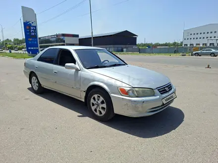 Toyota Camry 2001 года за 3 300 000 тг. в Алматы