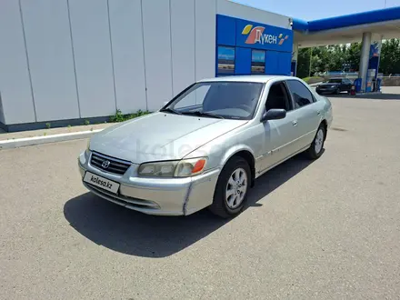 Toyota Camry 2001 года за 3 300 000 тг. в Алматы – фото 2