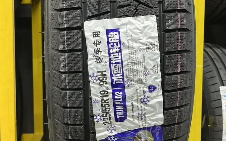 225/55R19 99H Triangle SnowLink PLO2 за 45 000 тг. в Алматы