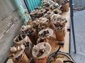 Бензонасосүшін15 000 тг. в Алматы