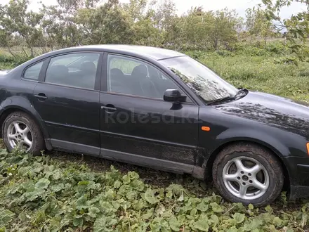 Volkswagen Passat 1998 года за 2 300 000 тг. в Тобыл – фото 4