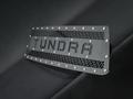 Решетка радиатора BMS TUNDRA для Toyota Tundra 2013-2020 за 112 890 тг. в Алматы