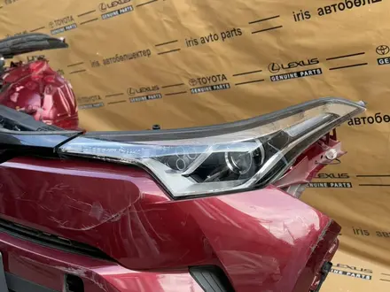 Носкат c-hr, мини морда! за 1 200 000 тг. в Шымкент – фото 2