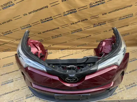 Носкат c-hr, мини морда! за 1 200 000 тг. в Шымкент – фото 5