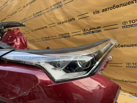Носкат c-hr, мини морда! за 1 200 000 тг. в Шымкент – фото 7