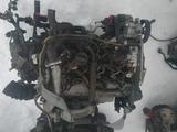 Двигатель 1.9 dci ниссан премьера р12 за 350 000 тг. в Костанай – фото 2