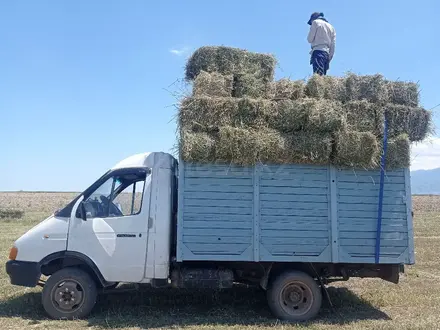 ГАЗ ГАЗель 2003 года за 2 000 000 тг. в Мерке – фото 8