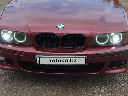 BMW 528 1995 года за 2 400 000 тг. в Талгар – фото 21