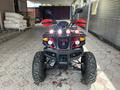 Megaactive  ATV 250 2024 годаfor550 000 тг. в Алматы