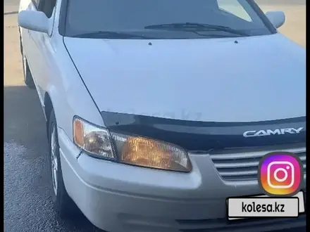 Toyota Camry 1997 года за 3 100 000 тг. в Тараз – фото 3