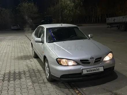 Nissan Primera 2002 года за 2 600 000 тг. в Усть-Каменогорск – фото 2