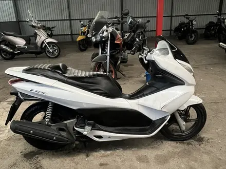 Honda  PC 800 2010 года за 700 000 тг. в Алматы – фото 4