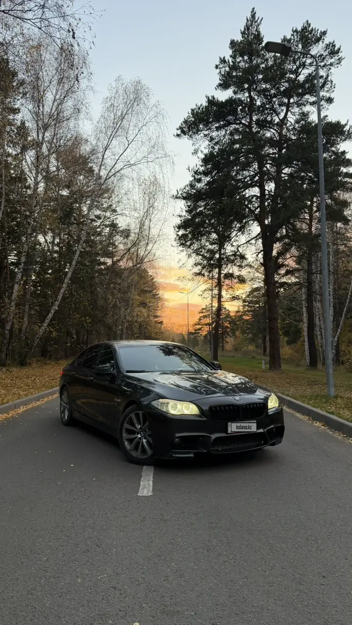 BMW 5 Series, 2010
