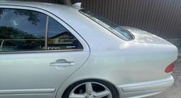 Mercedes-Benz E 55 AMG 2001 годаүшін8 000 000 тг. в Алматы – фото 2