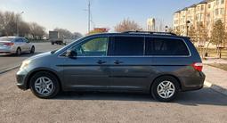 Honda Odyssey 2005 года за 6 000 000 тг. в Тараз