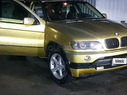 BMW X5 2001 года за 5 100 000 тг. в Алматы – фото 35