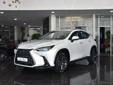 Lexus NX 250 Executive 2025 года за 33 890 000 тг. в Астана