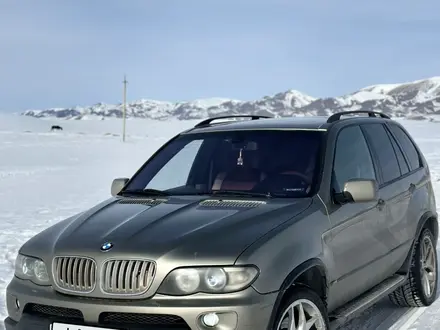 BMW X5 2004 годаүшін6 800 000 тг. в Алматы – фото 10