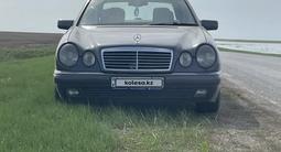 Mercedes-Benz E 280 1997 года за 3 300 000 тг. в Костанай – фото 3