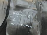 Подкрыльник Карина Е за 5 000 тг. в Алматы