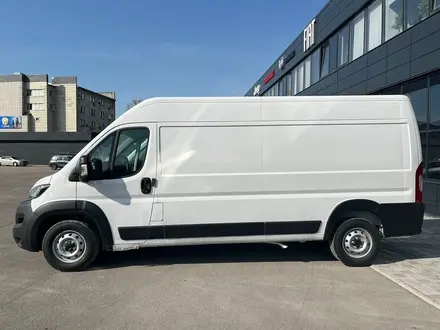 Fiat Professional  DUCATO 2024 года за 20 106 000 тг. в Алматы – фото 4