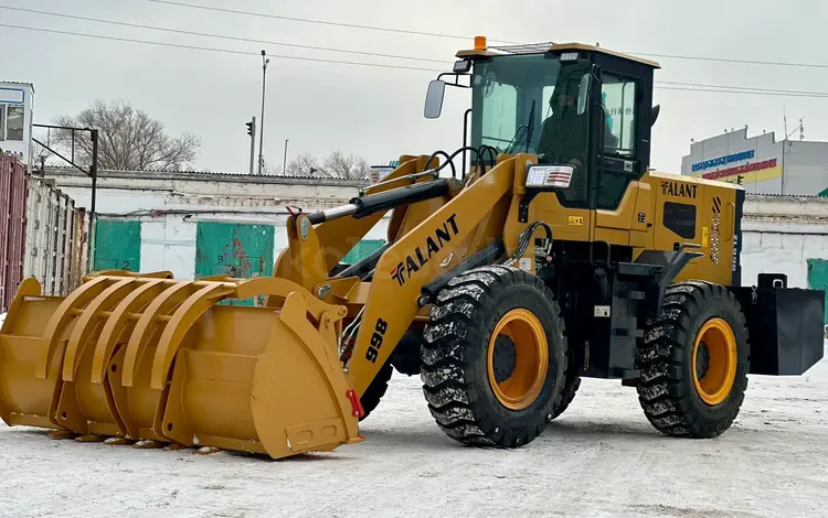 Talant 2026 годаүшін10 500 000 тг. в Астана
