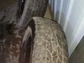 MAXXIS 771 за 8 000 тг. в Усть-Каменогорск – фото 5