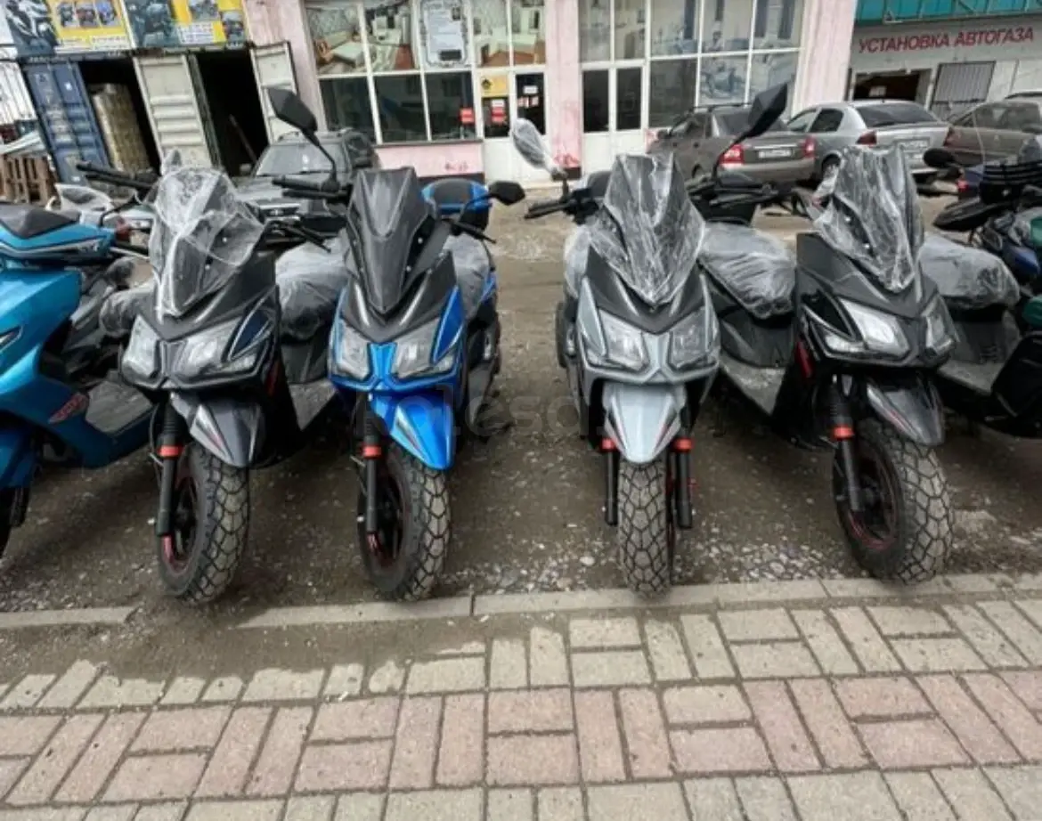 Рейсер Драгон 150 Купить