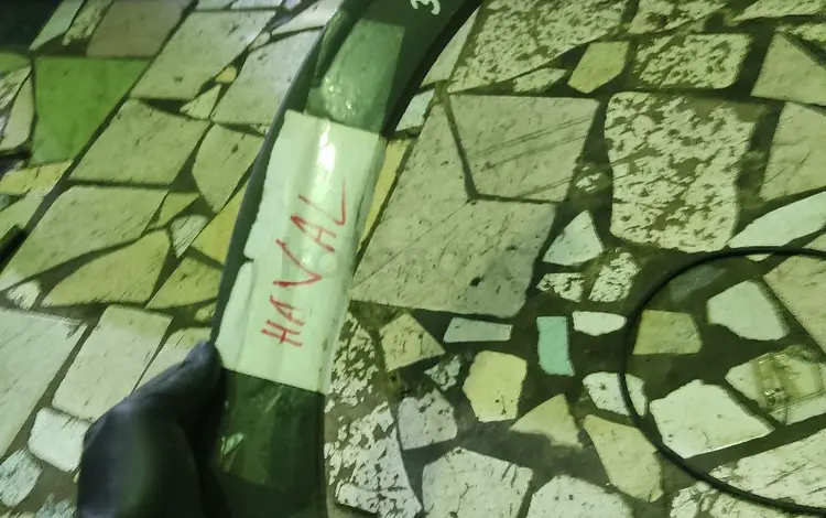 Накладка крыла заднего левого за 8 000 тг. в Караганда