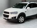 Chevrolet Captiva 2013 года за 5 700 000 тг. в Шымкент