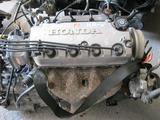 Двигатель Hondaүшін220 000 тг. в Алматы