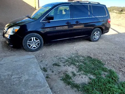 Honda Odyssey 2006 года за 6 000 000 тг. в Кордай – фото 10