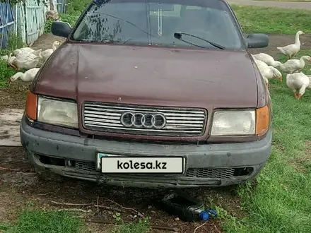 Audi 100 1991 года за 1 300 000 тг. в Петропавловск