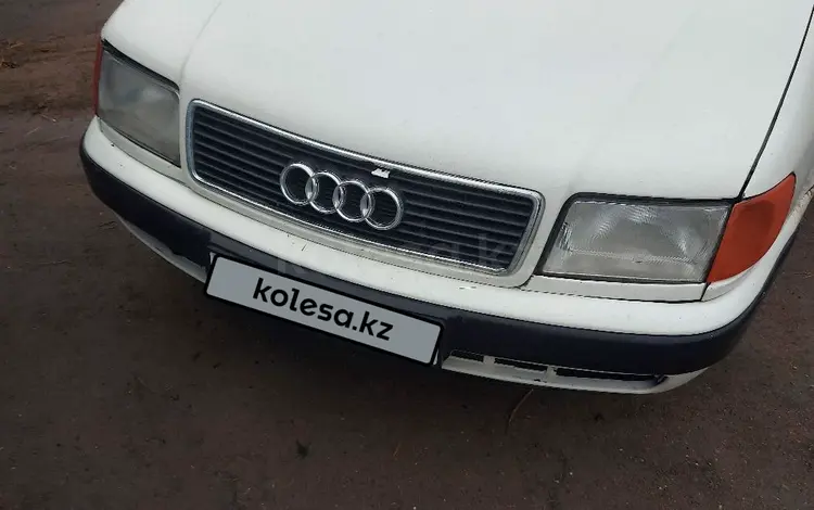 Audi 100 1992 годаүшін1 200 000 тг. в Жосалы