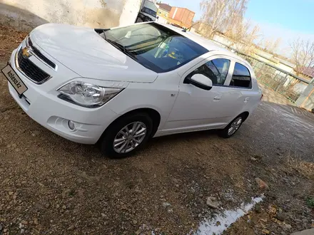 Chevrolet Cobalt 2023 года за 6 100 000 тг. в Щучинск