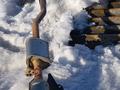 Глушитель катализатор резонатор коллектор гофраүшін20 000 тг. в Астана – фото 26