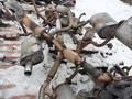 Глушитель катализатор резонатор коллектор гофраүшін20 000 тг. в Астана – фото 45