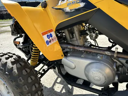 BRP  Can-Am DS 250 2017 года за 3 900 000 тг. в Алматы – фото 7