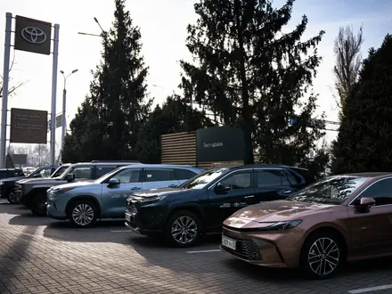 Toyota Almaty в Алматы – фото 9