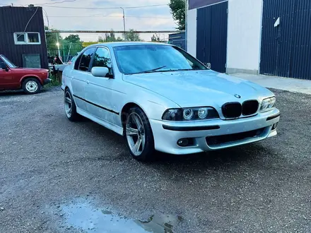 BMW 528 1998 года за 2 300 000 тг. в Алматы – фото 5