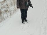 Резину зимняя за 160 000 тг. в Караганда