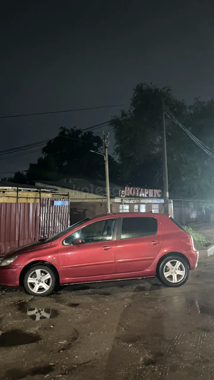 Peugeot 307, 2004