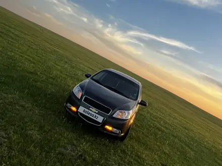 Chevrolet Nexia 2022 года за 3 700 000 тг. в Шымкент – фото 2