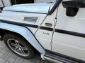 Mercedes-Benz G 500 2000 годаүшін9 611 676 тг. в Алматы – фото 9