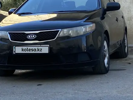 Kia Cerato 2010 года за 4 400 000 тг. в Актау – фото 4