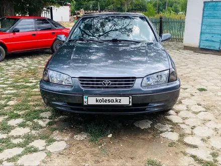 Toyota Camry 2000 года за 3 500 000 тг. в Узынагаш